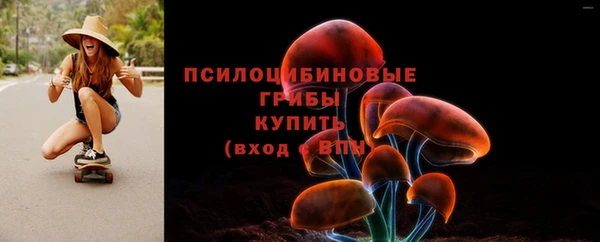 a pvp Алзамай