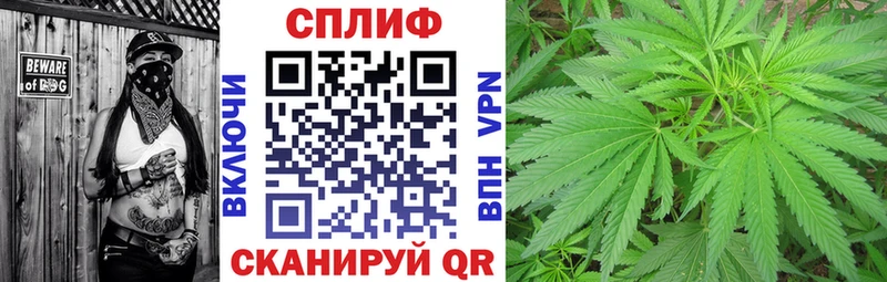Марихуана гибрид Алушта